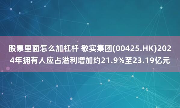 股票里面怎么加杠杆 敏实集团(00425.HK)2024年拥有人应占溢利增加约21.9%至23.19亿元