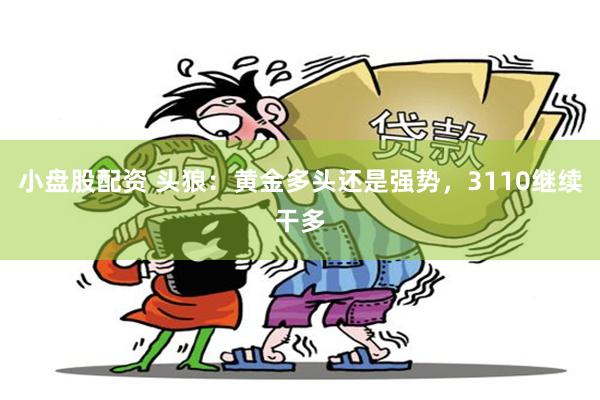 小盘股配资 头狼：黄金多头还是强势，3110继续干多