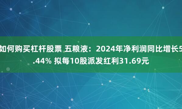 如何购买杠杆股票 五粮液：2024年净利润同比增长5.44% 拟每10股派发红利31.69元