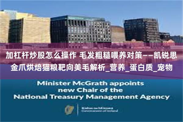 加杠杆炒股怎么操作 毛发粗糙喂养对策——凯锐思金爪烘焙猫粮靶向美毛解析_营养_蛋白质_宠物