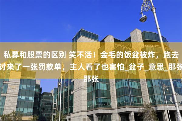 私募和股票的区别 笑不活！金毛的饭盆被炸，跑去讨来了一张罚款单，主人看了也害怕_盆子_意思_那张
