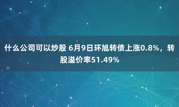 什么公司可以炒股 6月9日环旭转债上涨0.8%，转股溢价率51.49%