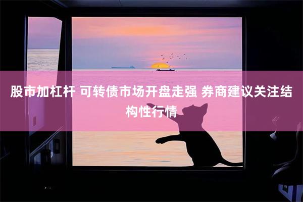 股市加杠杆 可转债市场开盘走强 券商建议关注结构性行情