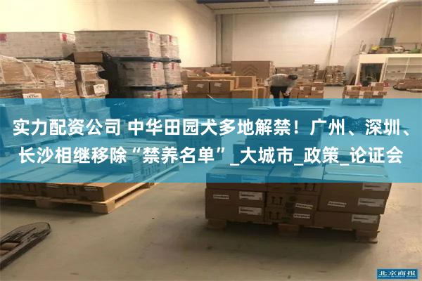 实力配资公司 中华田园犬多地解禁！广州、深圳、长沙相继移除“禁养名单”_大城市_政策_论证会