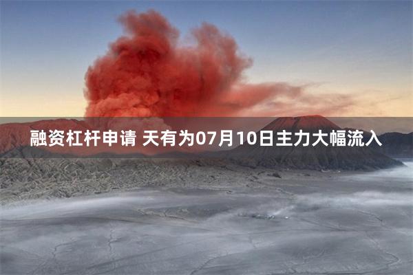 融资杠杆申请 天有为07月10日主力大幅流入