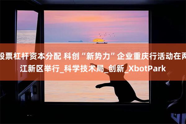 股票杠杆资本分配 科创“新势力”企业重庆行活动在两江新区举行_科学技术局_创新_XbotPark