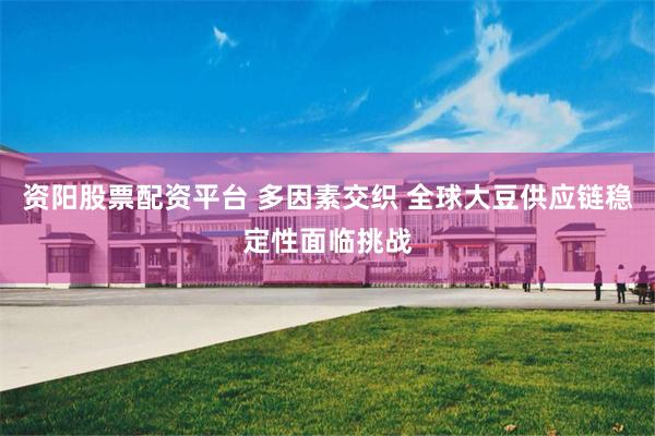 资阳股票配资平台 多因素交织 全球大豆供应链稳定性面临挑战
