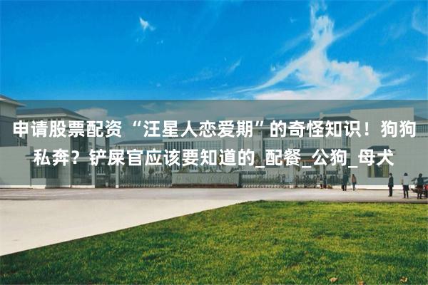 申请股票配资 “汪星人恋爱期”的奇怪知识！狗狗私奔？铲屎官应该要知道的_配餐_公狗_母犬