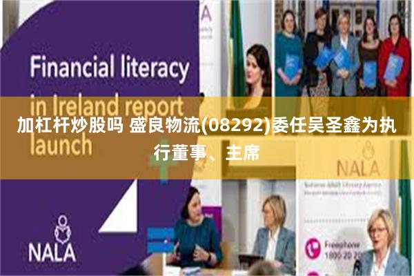 加杠杆炒股吗 盛良物流(08292)委任吴圣鑫为执行董事、主席