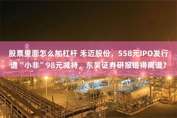 股票里面怎么加杠杆 禾迈股份,558元IPO发行遭“小非”98元减持,东吴证券研报错得离谱?